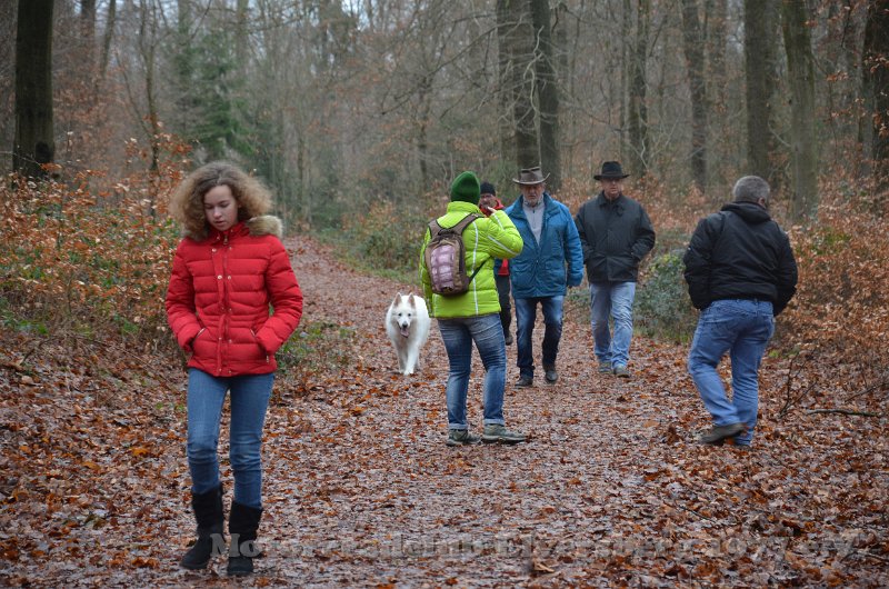 Wandertag 2019 - 039